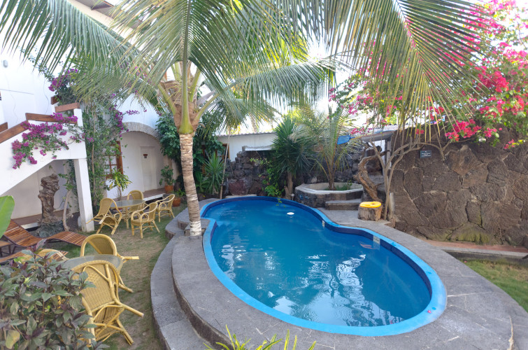 Pool at Hotel Albermarle