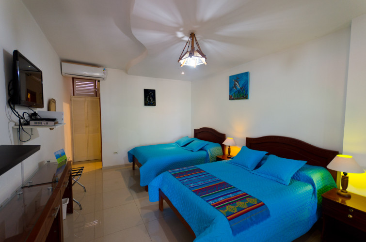 Room at Casa Playa Mann