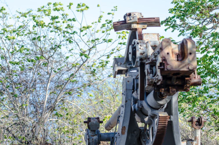 A War Cannon in the Galapagos Islands