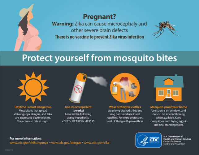 Zika Virus Infographic - from CDC